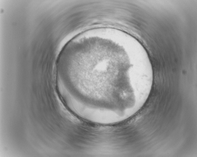 X0000088161522200706051038