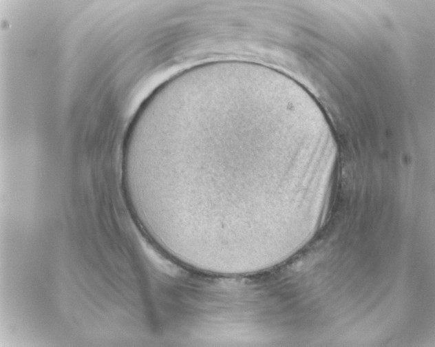 X0000088161523200706051038