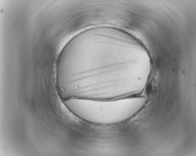 X0000088161524200706051038