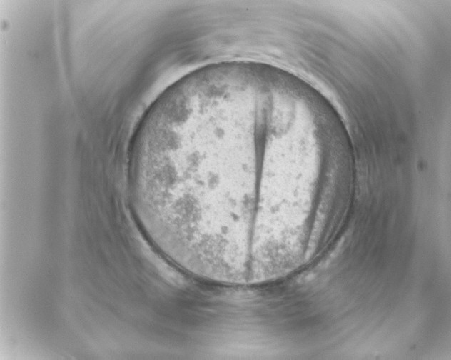 X0000088161525200706051038