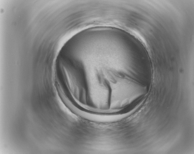 X0000088161528200706051038