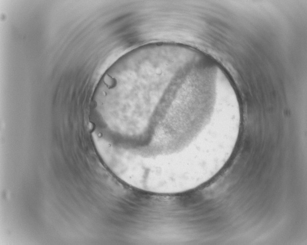 X0000088161529200706051038