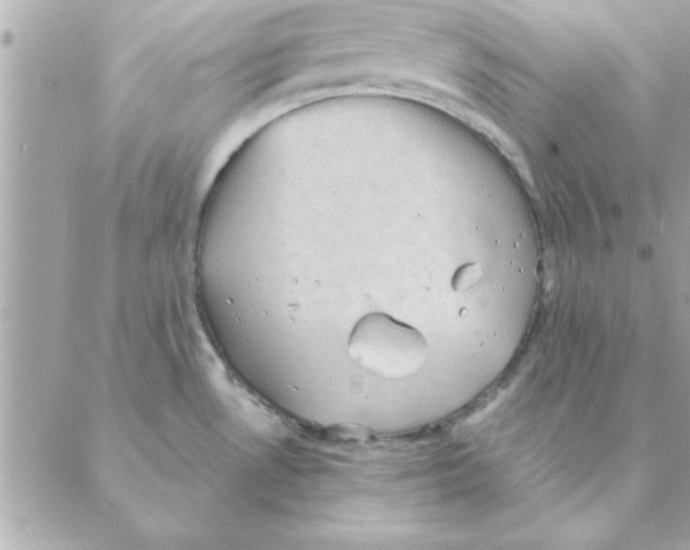 X0000088161530200706051038