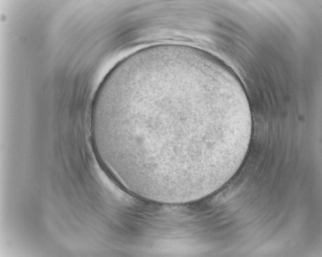 X0000088161531200706051038