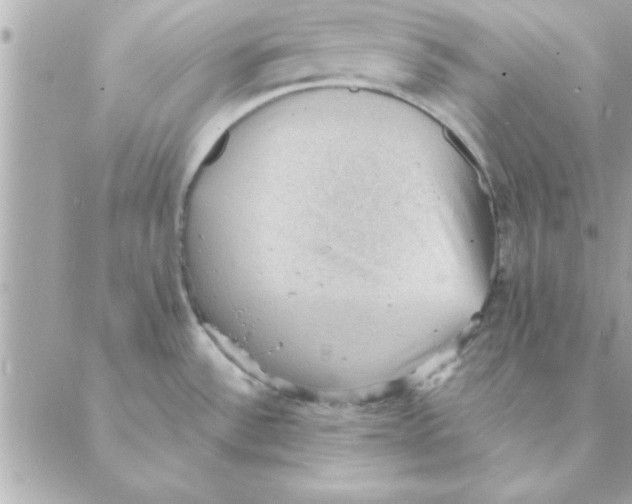 X0000088161532200706051039