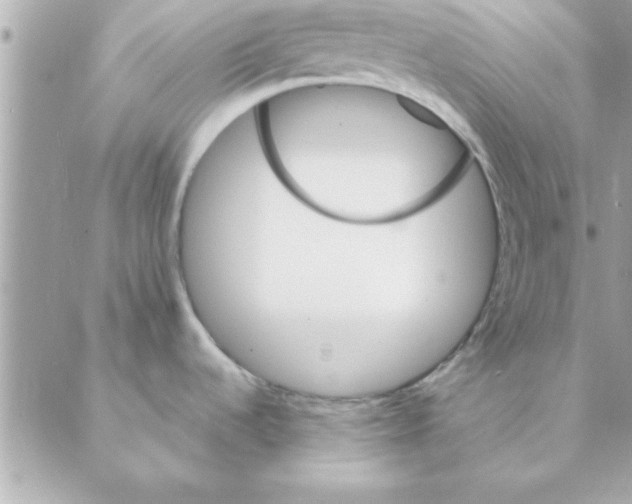 X0000088161536200706051039