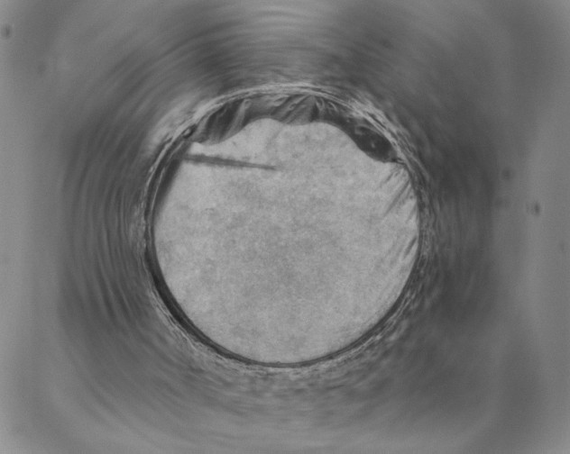 X0000088160002200706121613