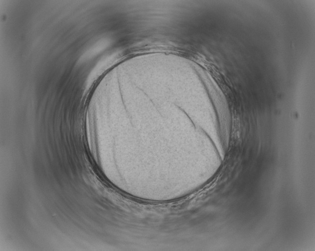 X0000088160004200706121613