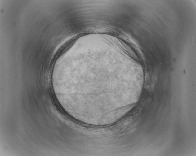X0000088160012200706121612