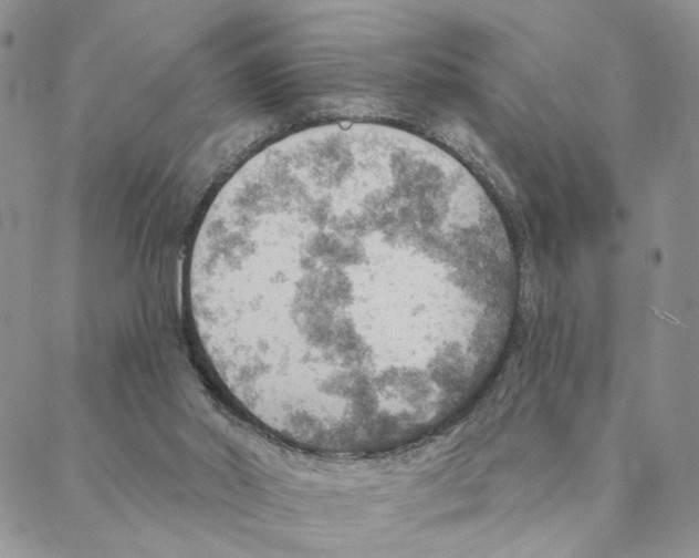 X0000088160014200706121612