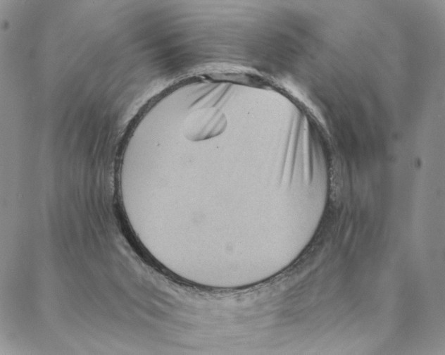 X0000088160015200706121612