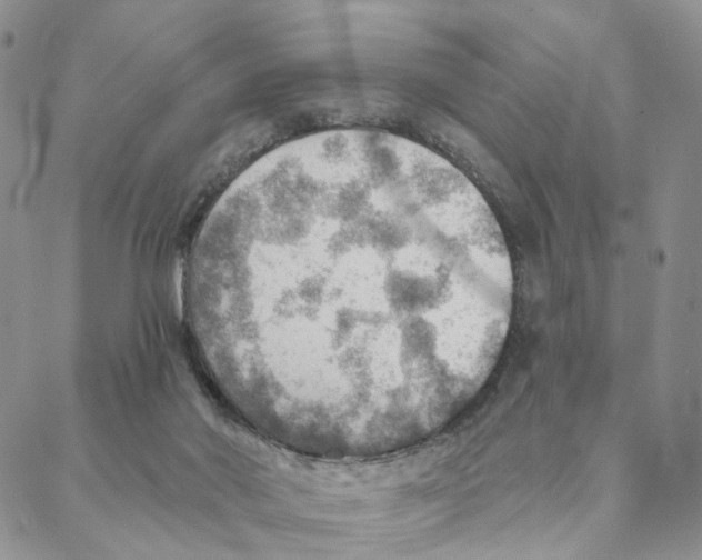 X0000088160022200706121612