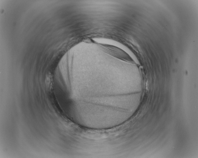 X0000088160029200706121612