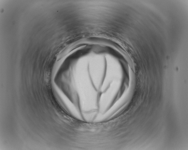 X0000088160033200706121612