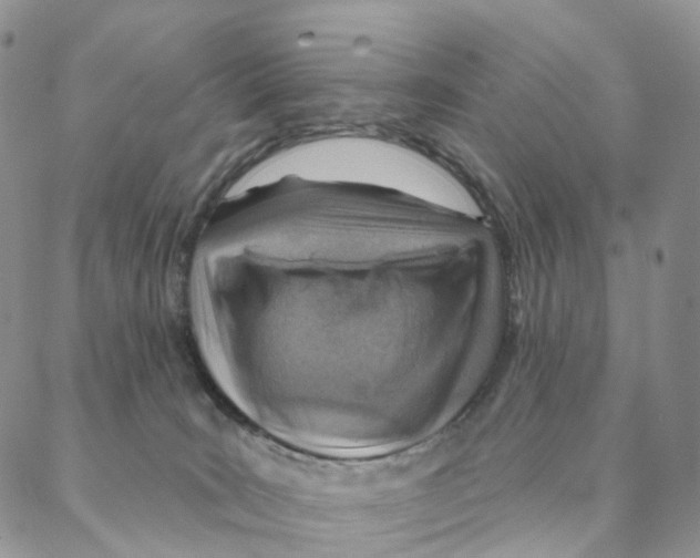 X0000088160035200706121612