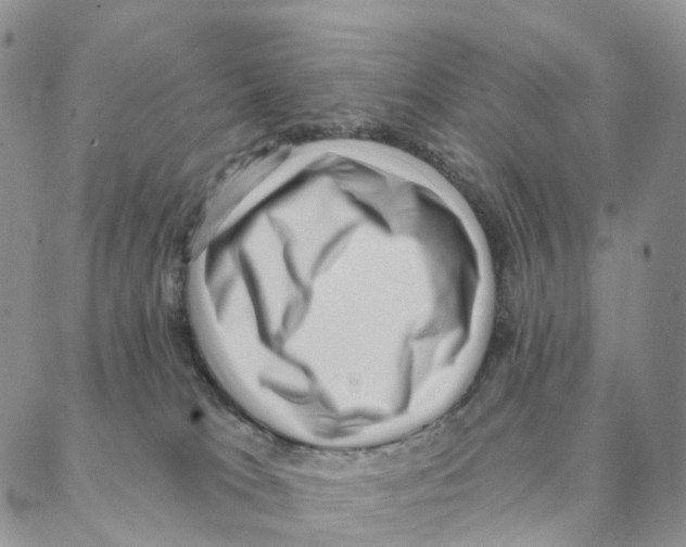 X0000088160037200706121612