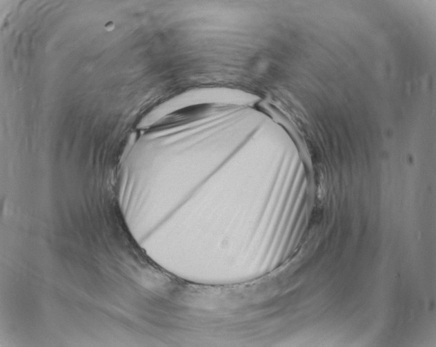 X0000088160045200706121612
