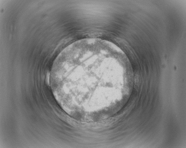 X0000088160046200706121612