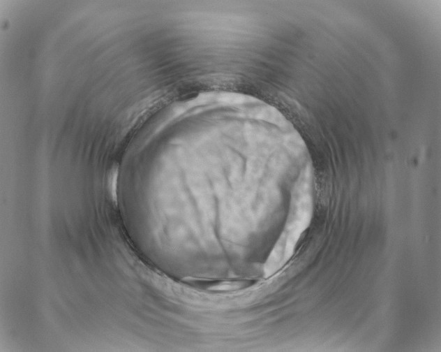 X0000088160047200706121612