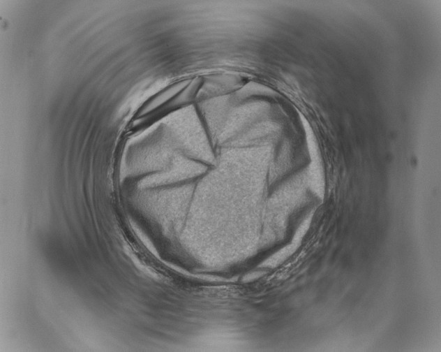 X0000088160050200706121611