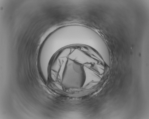 X0000088160056200706121611