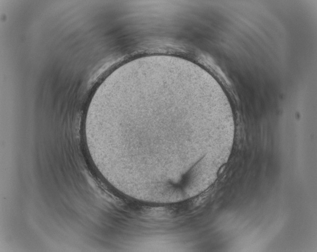 X0000088160058200706121611
