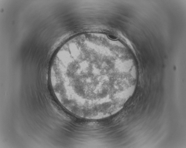 X0000088160059200706121611