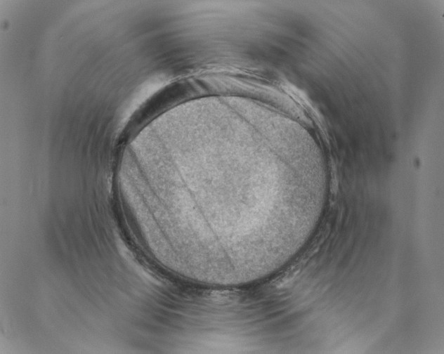 X0000088160060200706121611