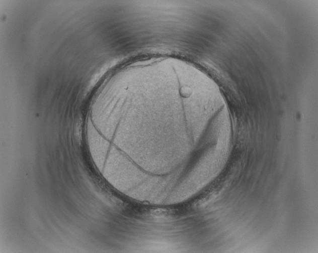X0000088160064200706121611