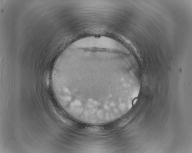 X0000088160069200706121611