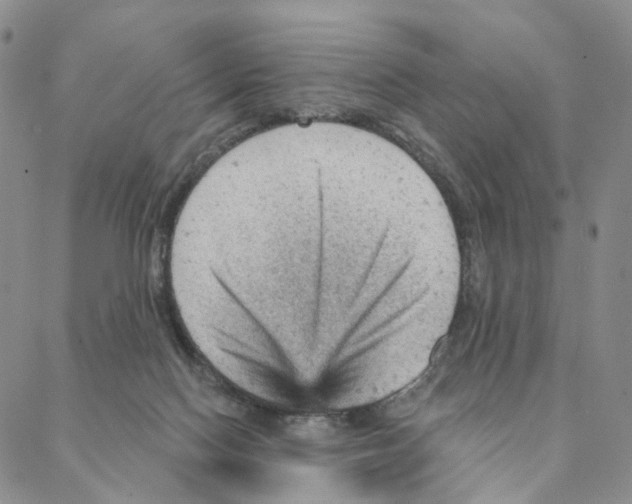 X0000088160074200706121611