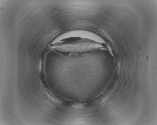 X0000088160076200706121612