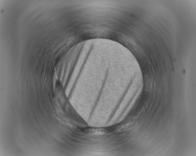 X0000088160077200706121612