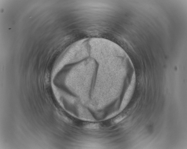 X0000088160081200706121612