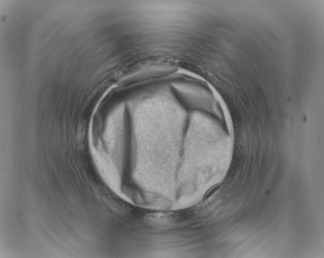 X0000088160082200706121612