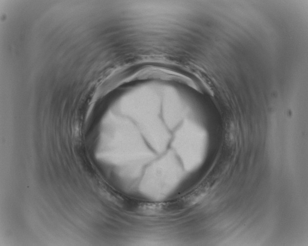 X0000088160084200706121612