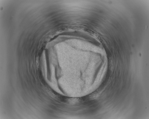 X0000088160085200706121612