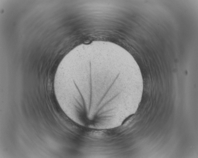 X0000088160086200706121612