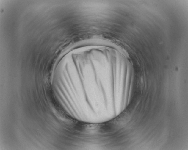 X0000088160088200706121612