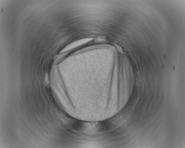 X0000088160089200706121612