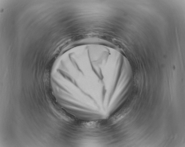 X0000088160092200706121612