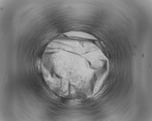 X0000088160094200706121612