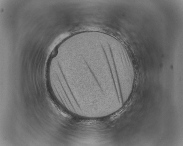 X0000088160104200706121611