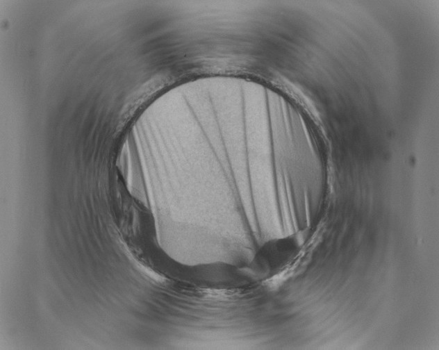 X0000088160105200706121611