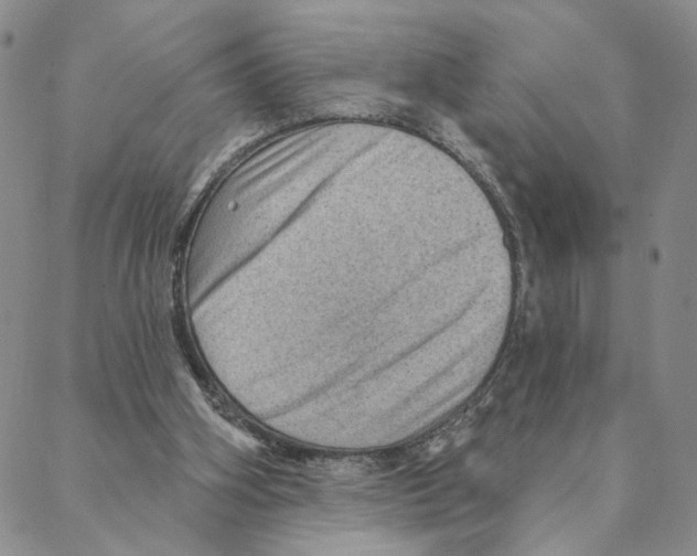 X0000088160106200706121611