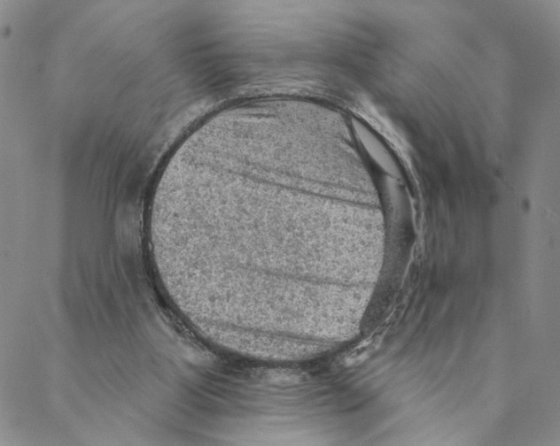 X0000088160107200706121611