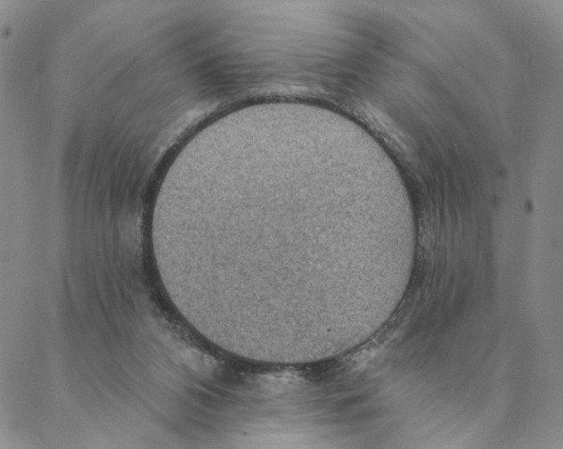 X0000088160112200706121611