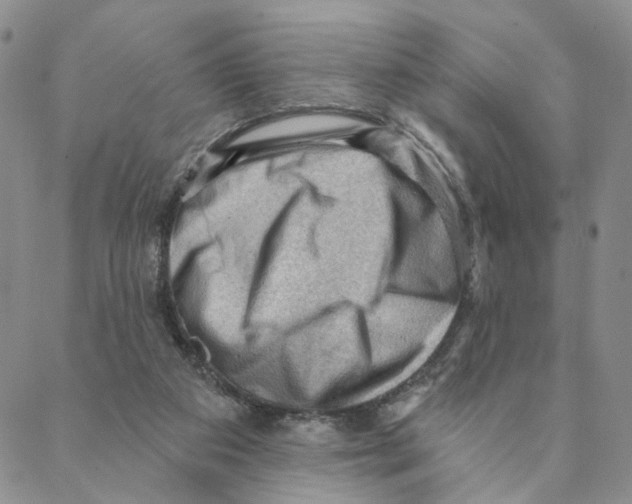 X0000088160113200706121611