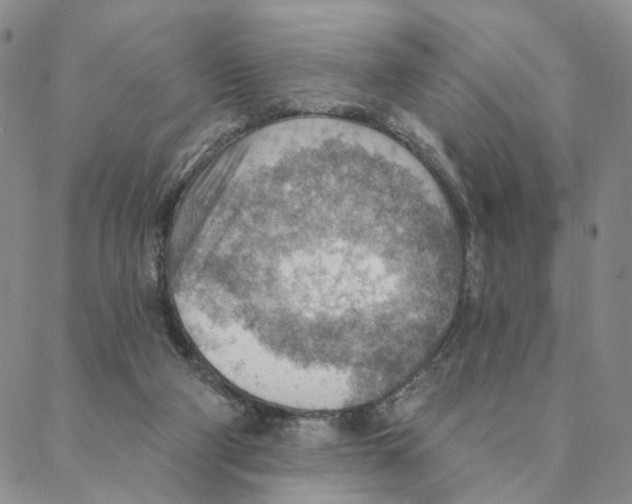 X0000088160114200706121611