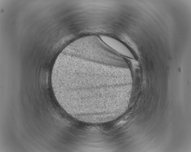 X0000088160115200706121611